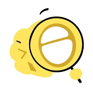 WWW,305se·COM网站APPAPP应用