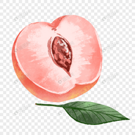 51黑料网APPAPP应用